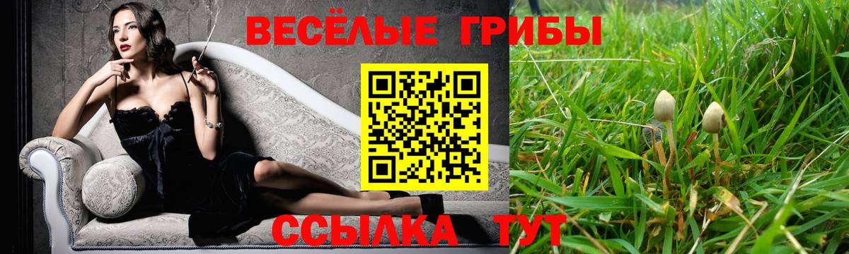 даркнет сайт  Заречный  Псилоцибиновые грибы GOLDEN TEACHER 