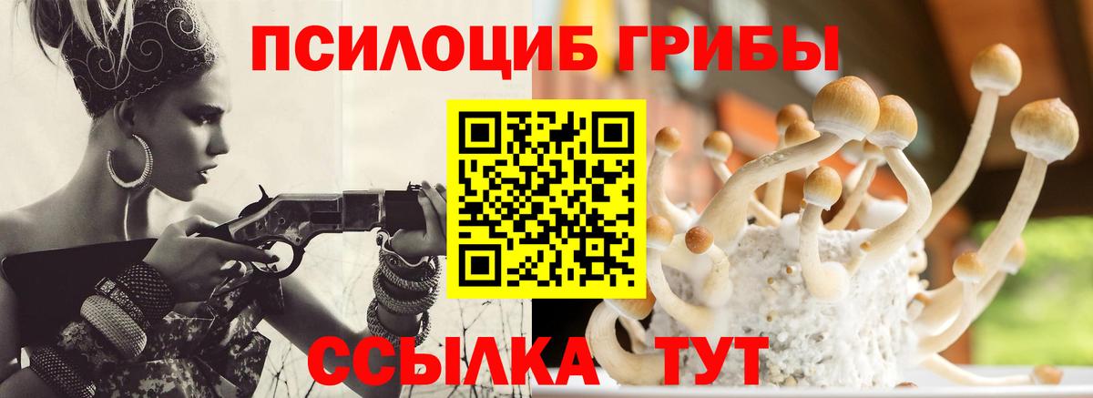Заречный  Галлюциногенные грибы мицелий  Псилоцибиновые грибы MAGIC MUSHROOMS  Вход с VPN 