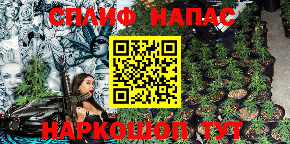 Канабис AK-47  Бошки Шишки Ganja  Каннабис Bruce Banner  Бошки марихуана сатива  Заречный 